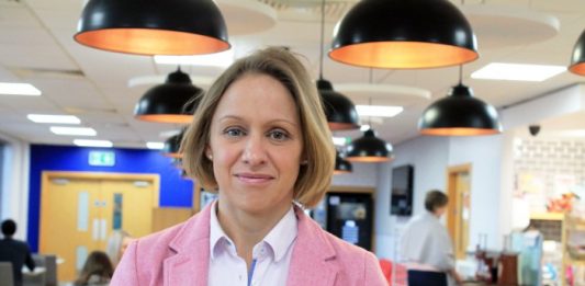 Kingfisher appoints Sue Harries as group ecommerce director