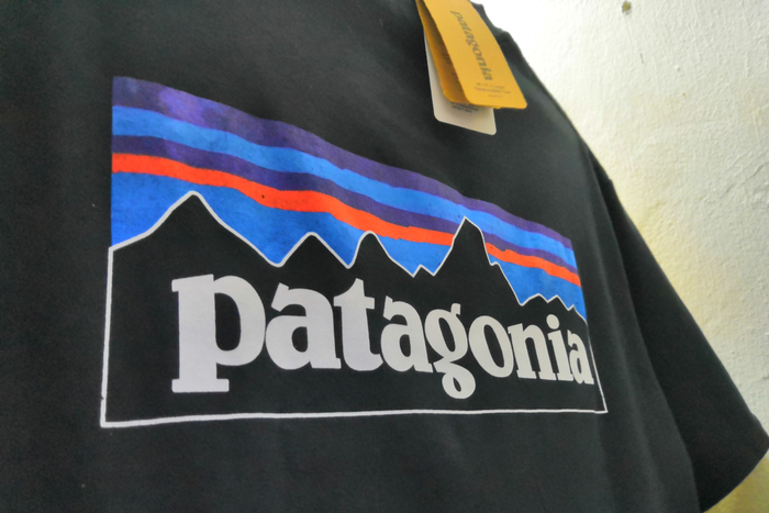 Patagonia CEO makes surprise exit - Retail Gazette