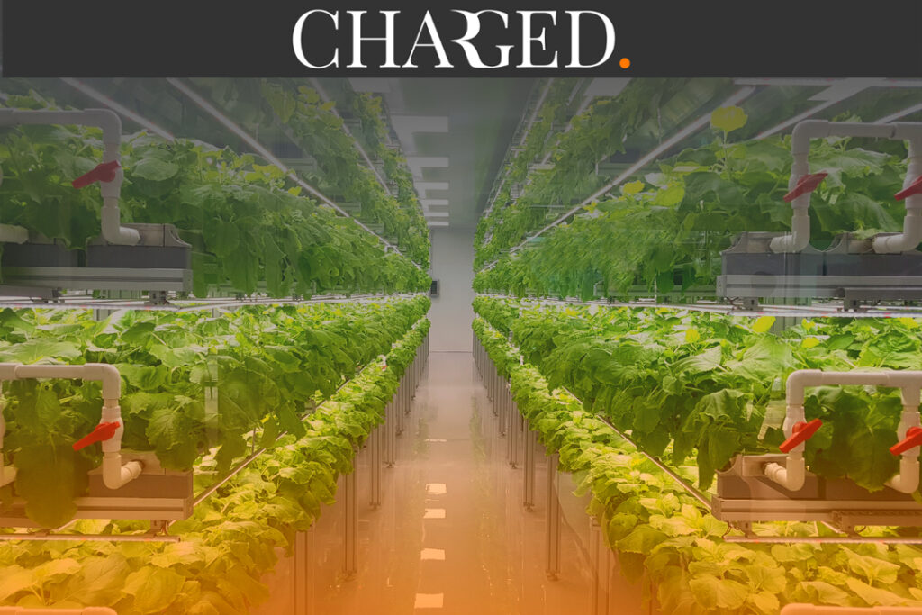 Ocado has ramped up its investment in vertical farming as Brexit and the coronavirus pandemic are set to see the sector grow to £15 billion by 2026.