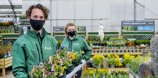 The RHS Chelsea Flower Show Dobbies trade stand has won five stars out of five as the festival officially kicks off.