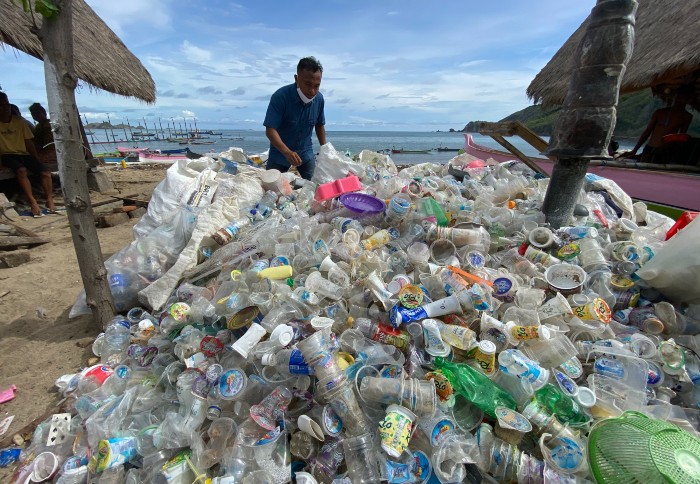 Waitrose World Ocean Day