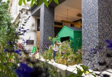 Selfridges launches in-store garden centres