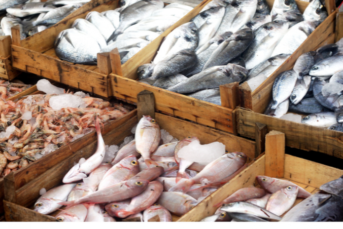 Stop selling fish raised on fishmeal from West Africa, grocers told