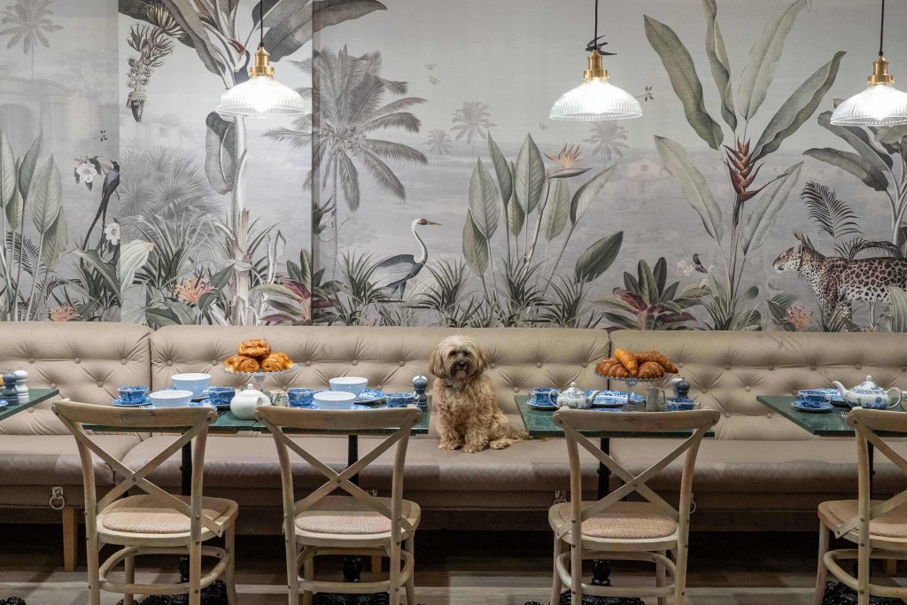 The luxury pet lifestyle brand and grooming parlour, Love My Human has launched a one of a kind townhouse concept store.