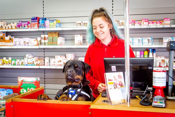 Pet retailer Jollyes has unveiled plans to accelerate growth by opening up to 20 new stores over the next 18 months