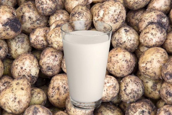 In February, Waitrose will start stocking the Swedish potato milk brand Dug, which claims to be the most sustainable alt-milk on the market