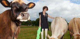 H&M's PETA-approved vegan collection an animal-friendly fashion collection, which has been approved by the animal rights organisation PETA.
