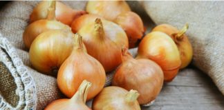 Waitrose onions