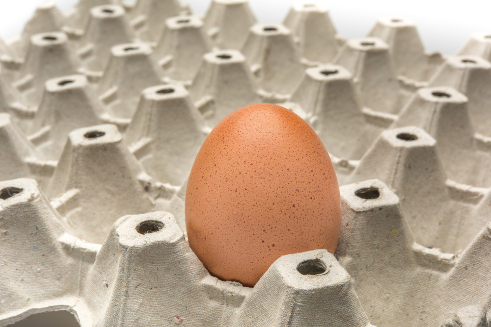 Egg shortage