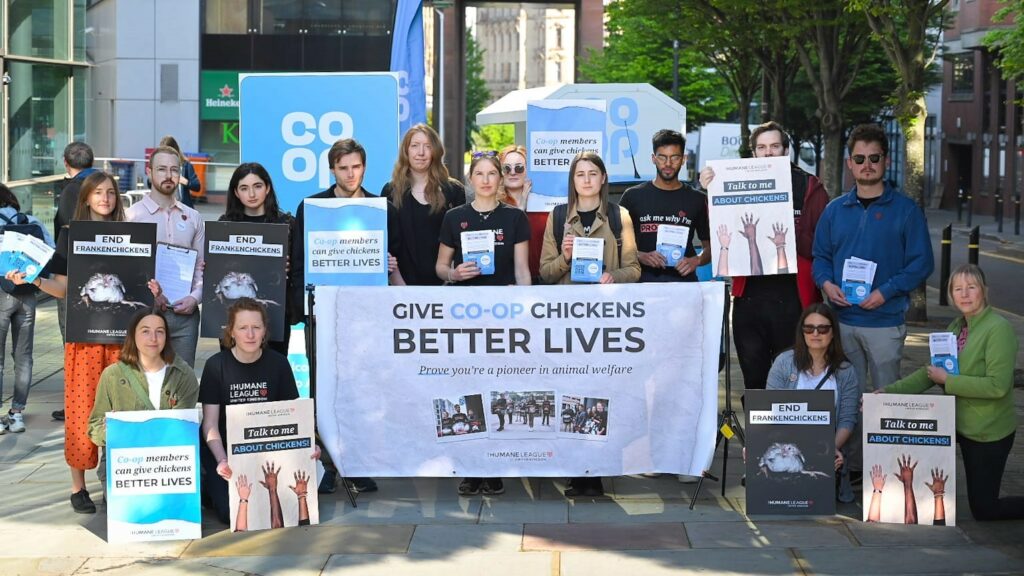 Co-op members and board clash over chicken welfare AGM vote
