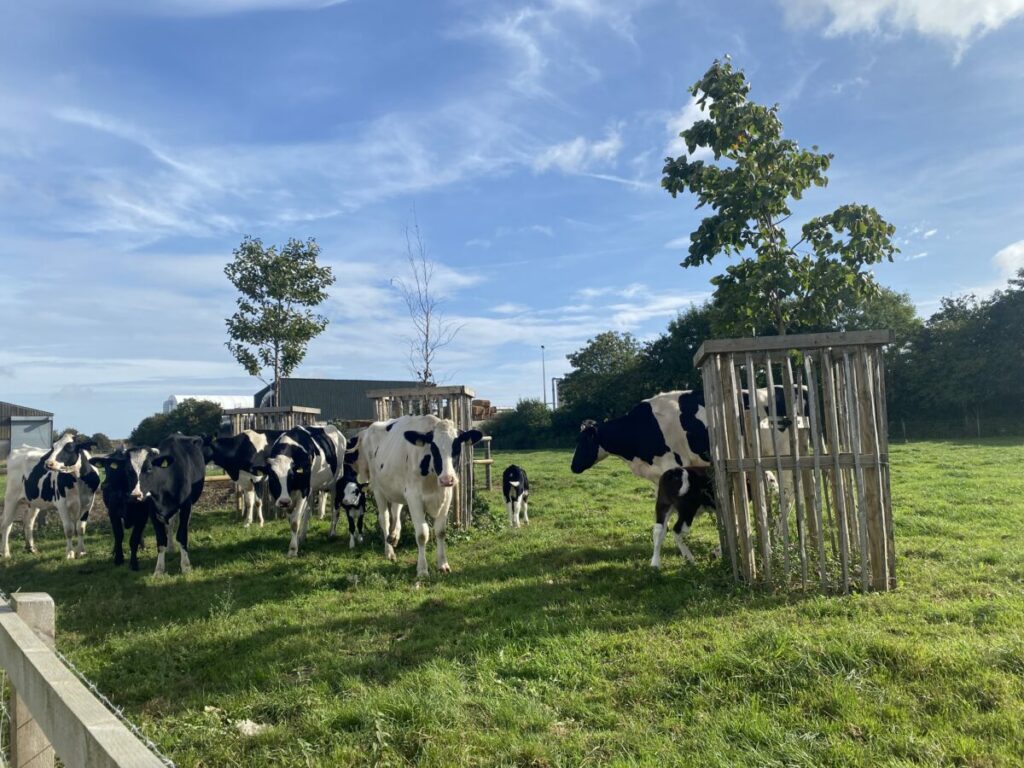 At Waitrose-owned Leckford Estate, the grocer is trialling tractors powered by cow manure. Could the grass be greener for regenerative agriculture?
