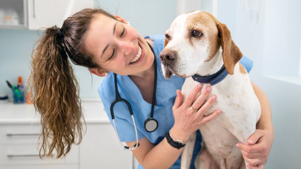 Pet owners could be over paying for medicine or prescriptions due to failures in the veterinary sector,