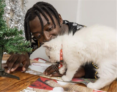 According to Pets at Home, "Cats are the biggest winners of festive shopping" this year.