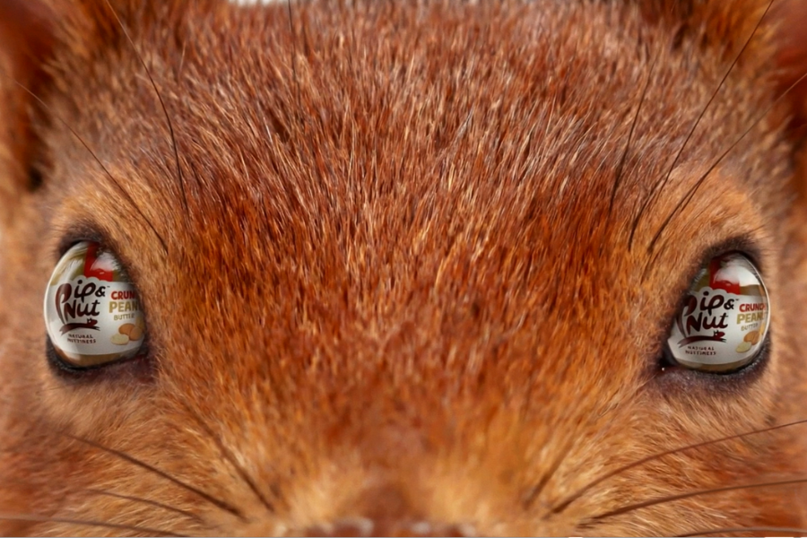 AI has no place in the arts is something many people believe, both in the creative industries and outside of it. And its a statement I'm inclined to agree with.