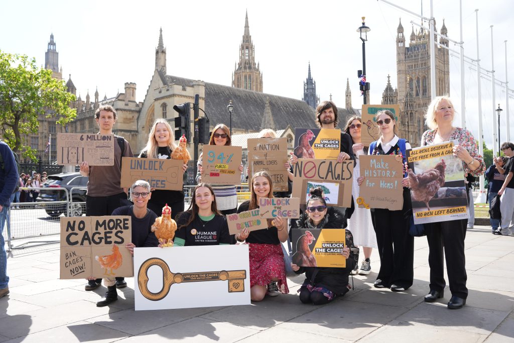 Animal welfare campaigners staged a protest in Parliament Square on Tuesday, urging the Government to ban cages for laying hens.