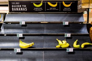 Today, (13 August) marks the beginning of the UK's fifth heatwave of the summer, as UK retailers brace to reinforce a supply chain that is continuing to be hit by extreme temperatures.