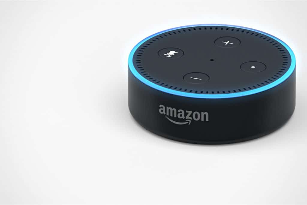 Amazon Echo devices are being built by Chinese school children who are often forced to work nights and hours of overtime, according to a Guardian report.