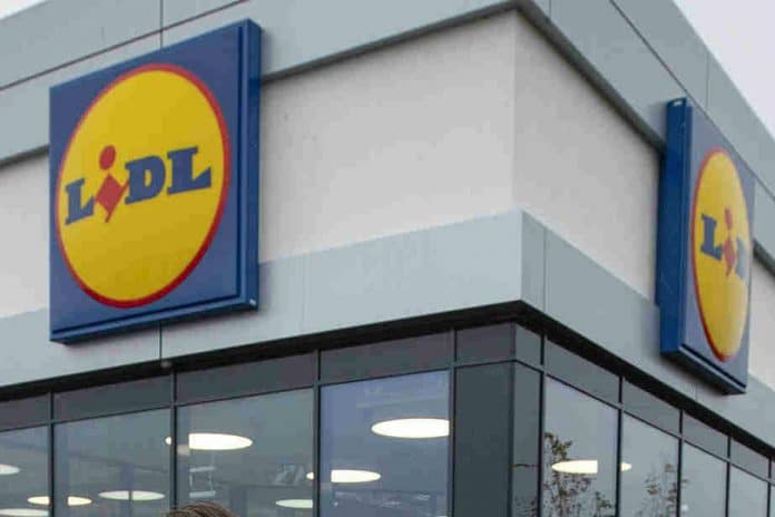 Lidl investment supply chain Ryan McDonnell