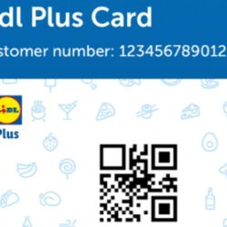 Lidl Plus app online shopping delivery